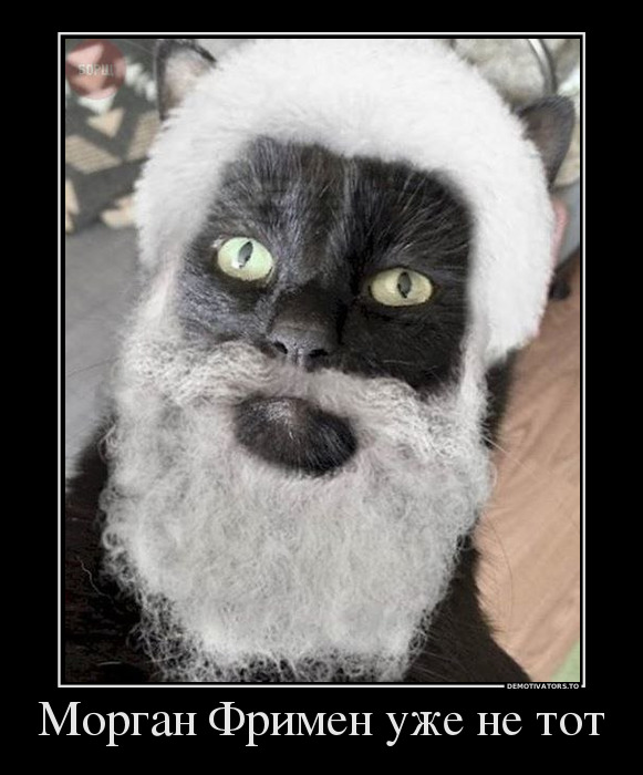 ������ ������ ��� �� ���