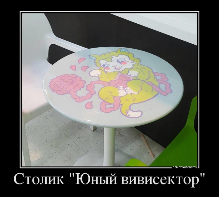 ������ "���� ����������"