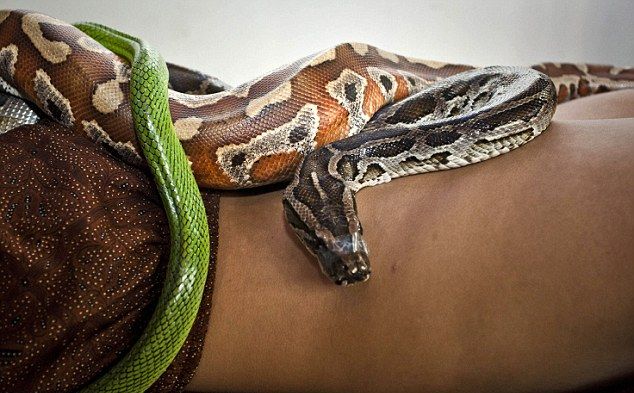 ������ �������� �������� ���������� �� �������